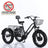 3 Wheel E-Bike Snow Fat Tire Tricycle 500W 48V 13A