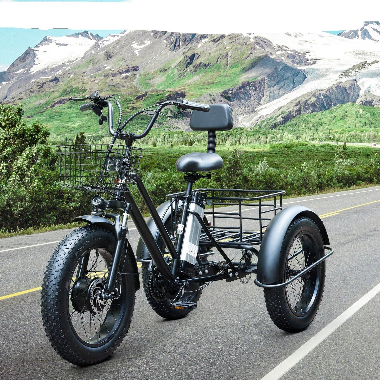 3 Wheel E-Bike Snow Fat Tire Tricycle 500W 48V 13A (Copy)