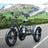 3 Wheel E-Bike Snow Fat Tire Tricycle 500W 48V 13A