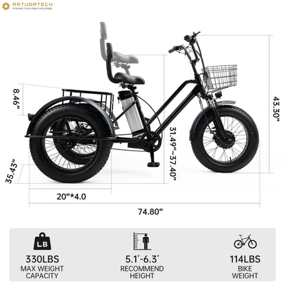 3 Wheel E-Bike Electric Fat Tire Tricycle 500W 48V 13A Snow
