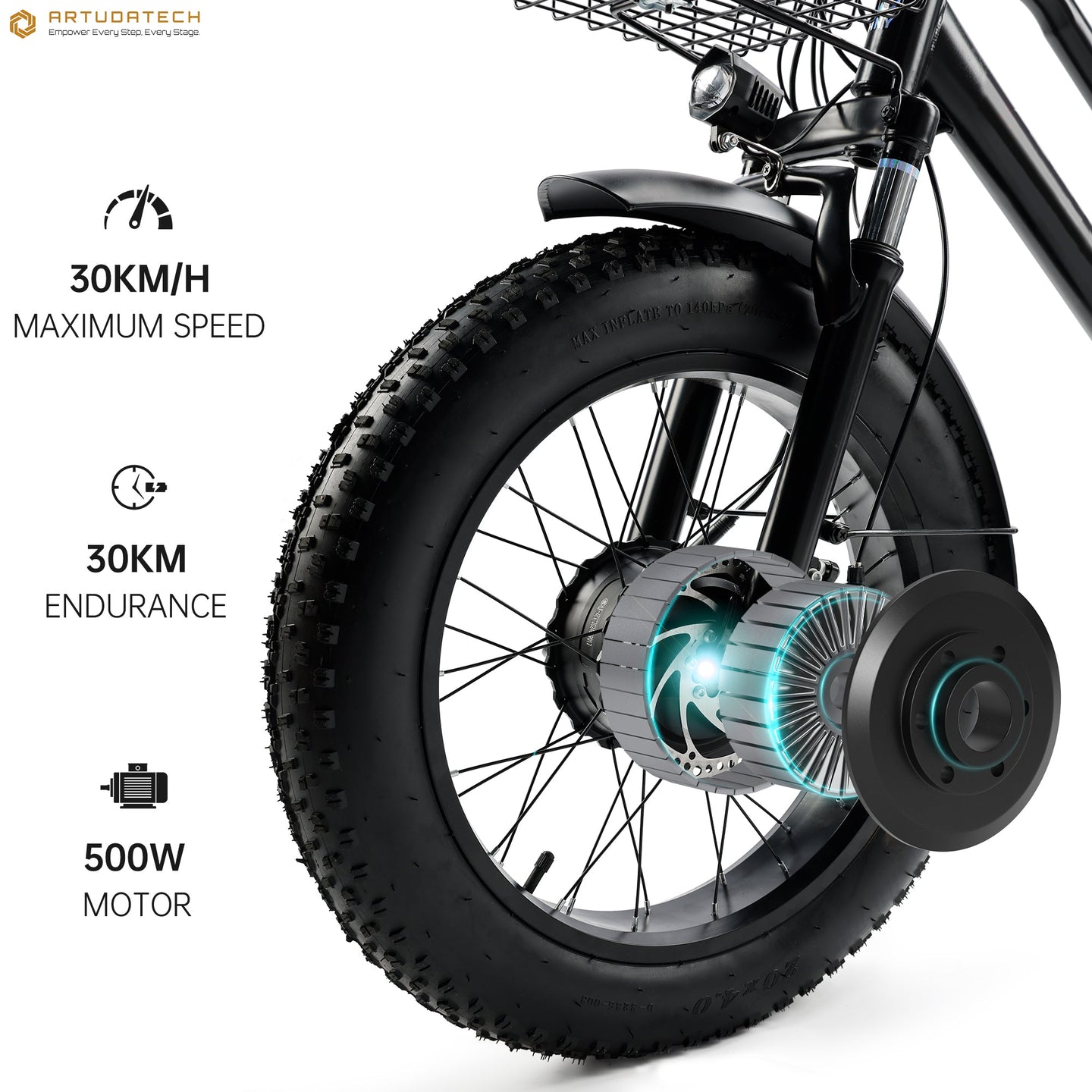 3 Wheel E-Bike Snow Fat Tire Tricycle 500W 48V 13A