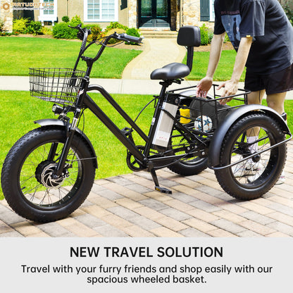 3 Wheel E-Bike Electric Fat Tire Tricycle 500W 48V 13A Snow