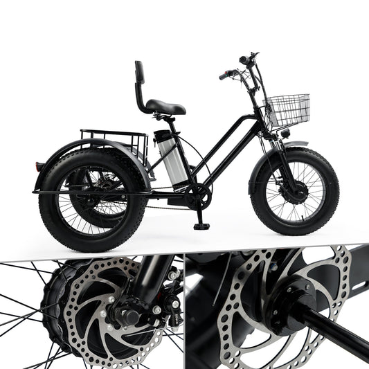 3 Wheel E-Bike Electric Fat Tire Tricycle 500W 48V 13A Snow