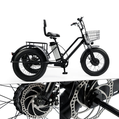 Electric Snow Tricycle 3 Wheel E-Bike Fat Tire 500W 48V 13A