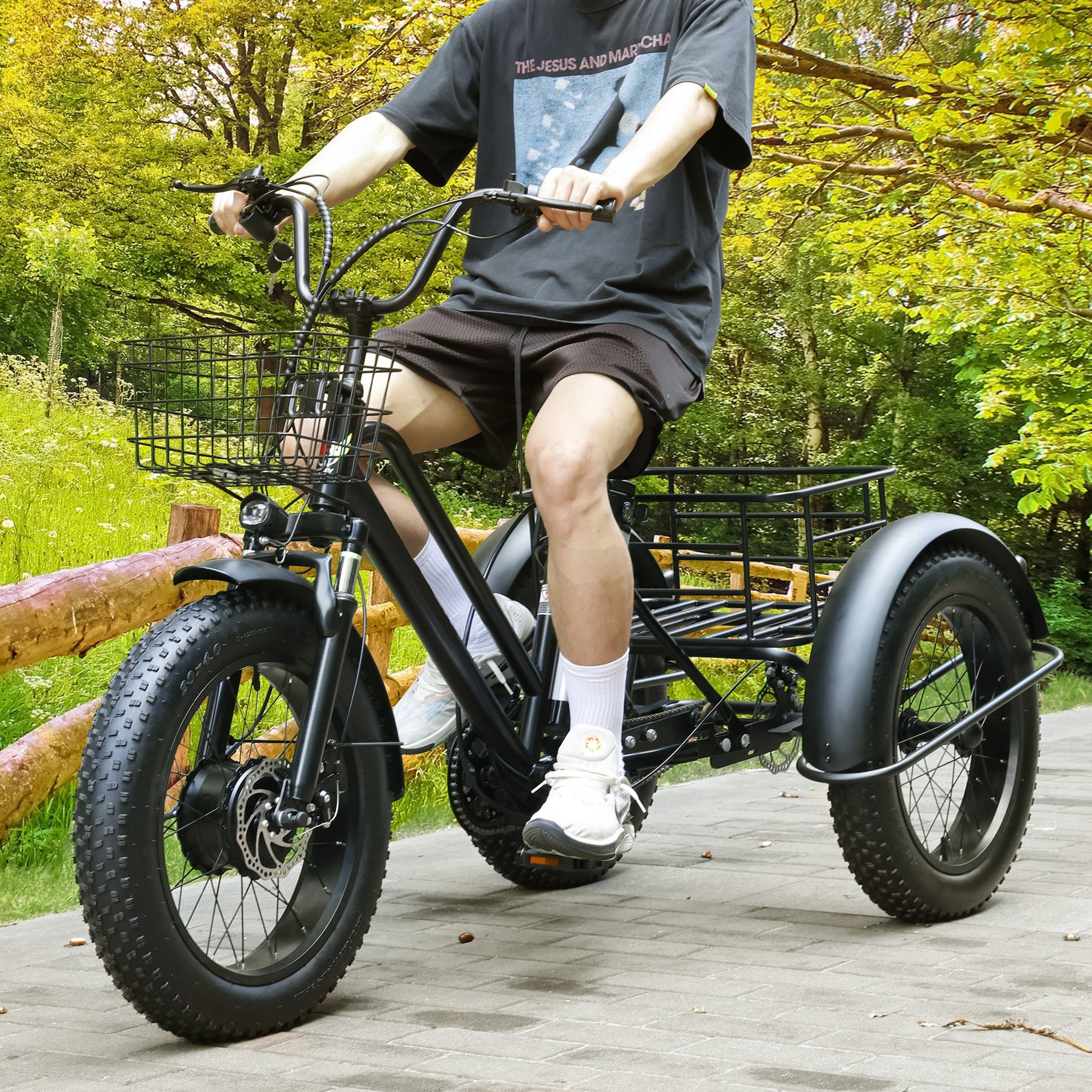 3 Wheel E-Bike Snow Fat Tire Tricycle 500W 48V 13A