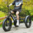 3 Wheel E-Bike Snow Fat Tire Tricycle 500W 48V 13A