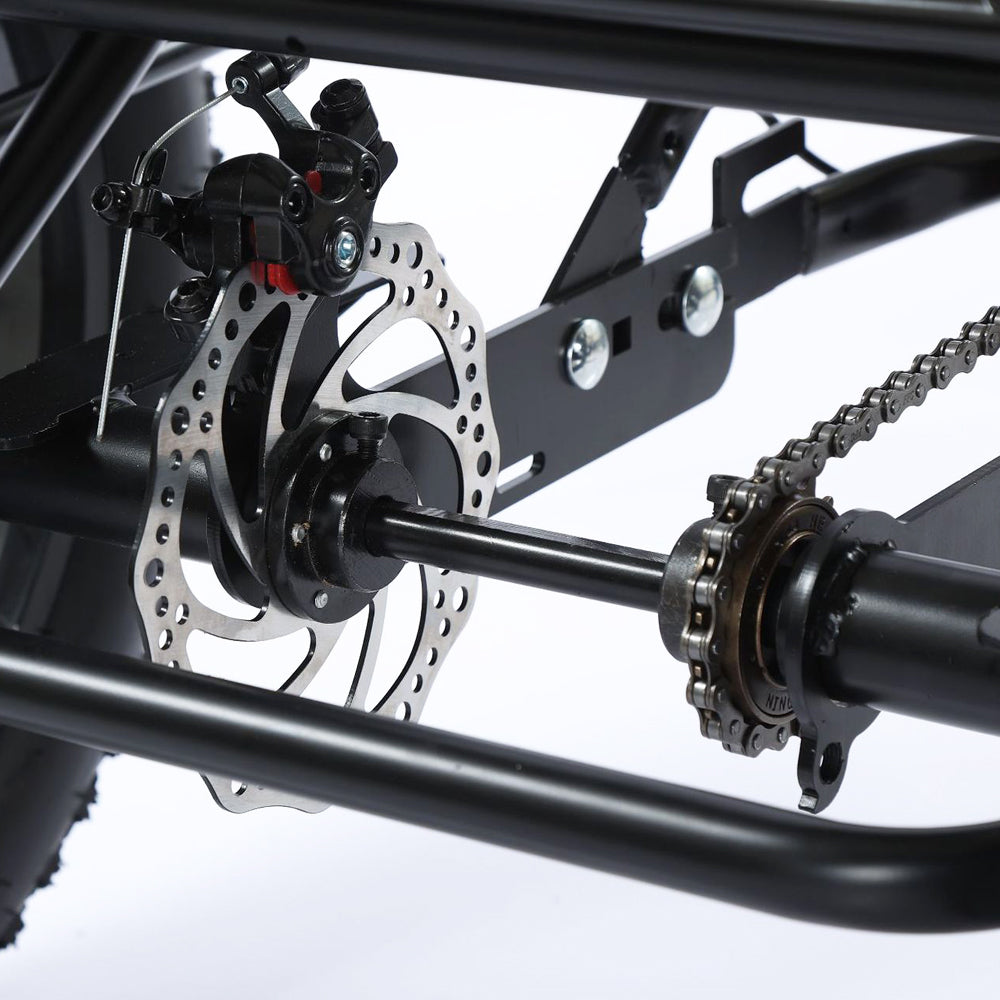 3 Wheel E-Bike Snow Fat Tire Tricycle 500W 48V 13A (Copy)