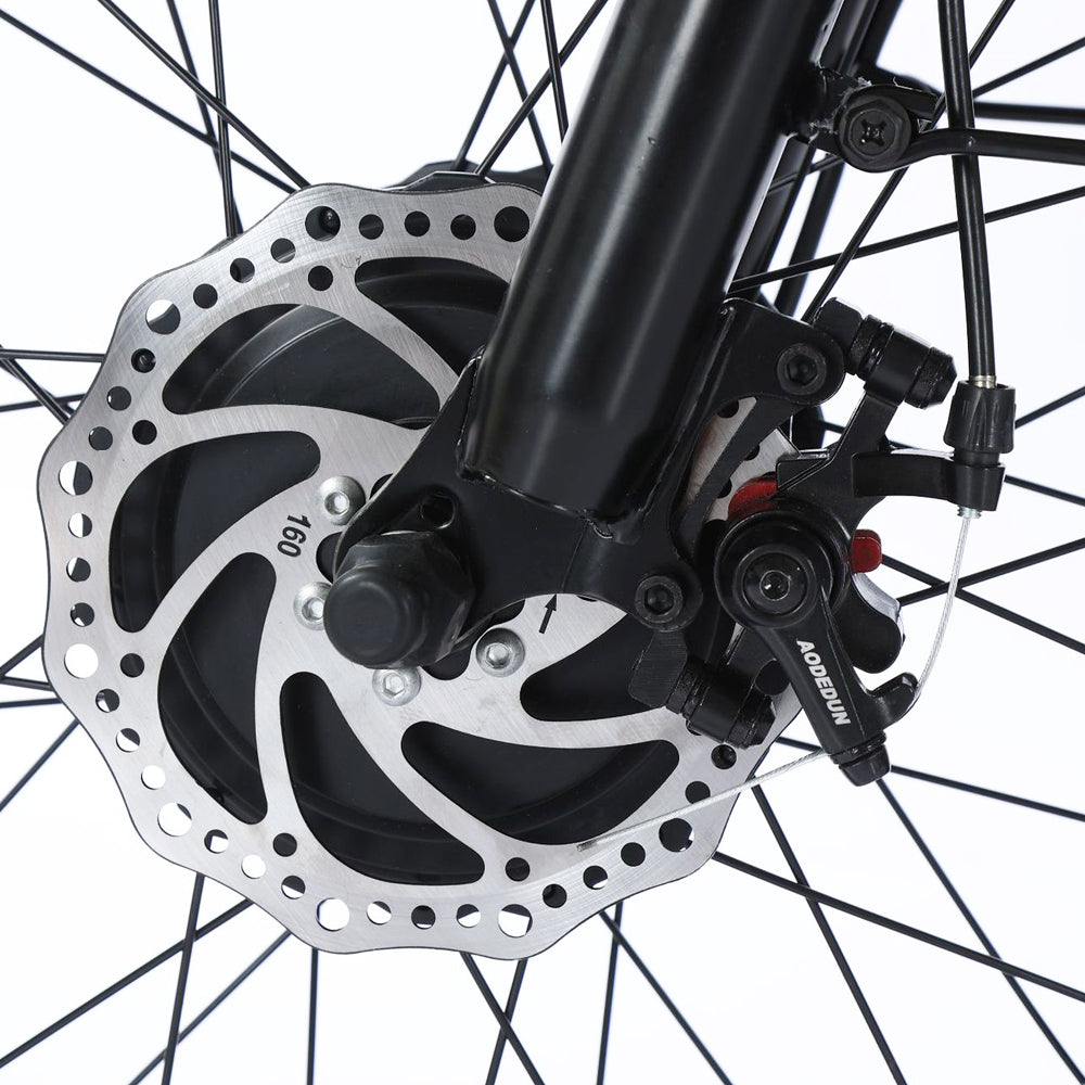 3 Wheel E-Bike Electric Fat Tire Tricycle 500W 48V 13A Snow