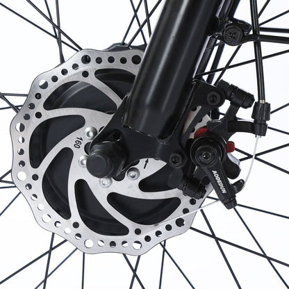 500W 48V 13A Electric Tricycle Bike 3 wheel e-bike Fat Tire Tricycle Snow