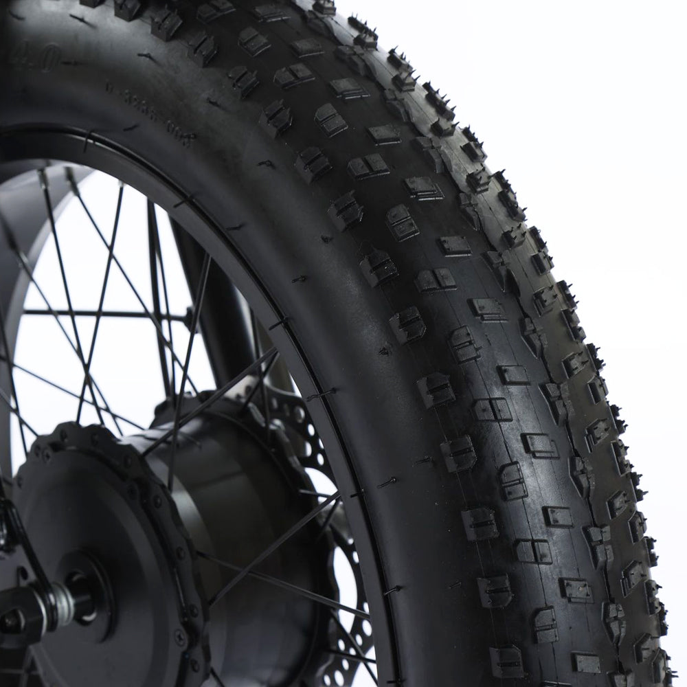 3 Wheel E-Bike Snow Fat Tire Tricycle 500W 48V 13A