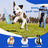 RolliCrinkle™ Interactive Pet Chase Toy