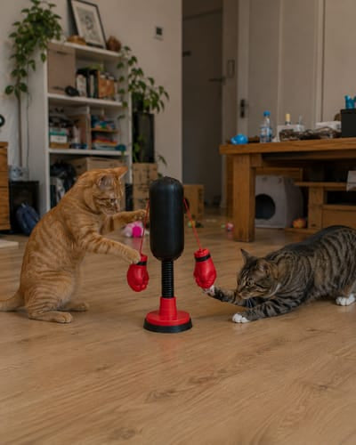 PawBoxer™ Interactive Cat Punching Bag