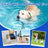 RolliCrinkle™ Interactive Pet Chase Toy