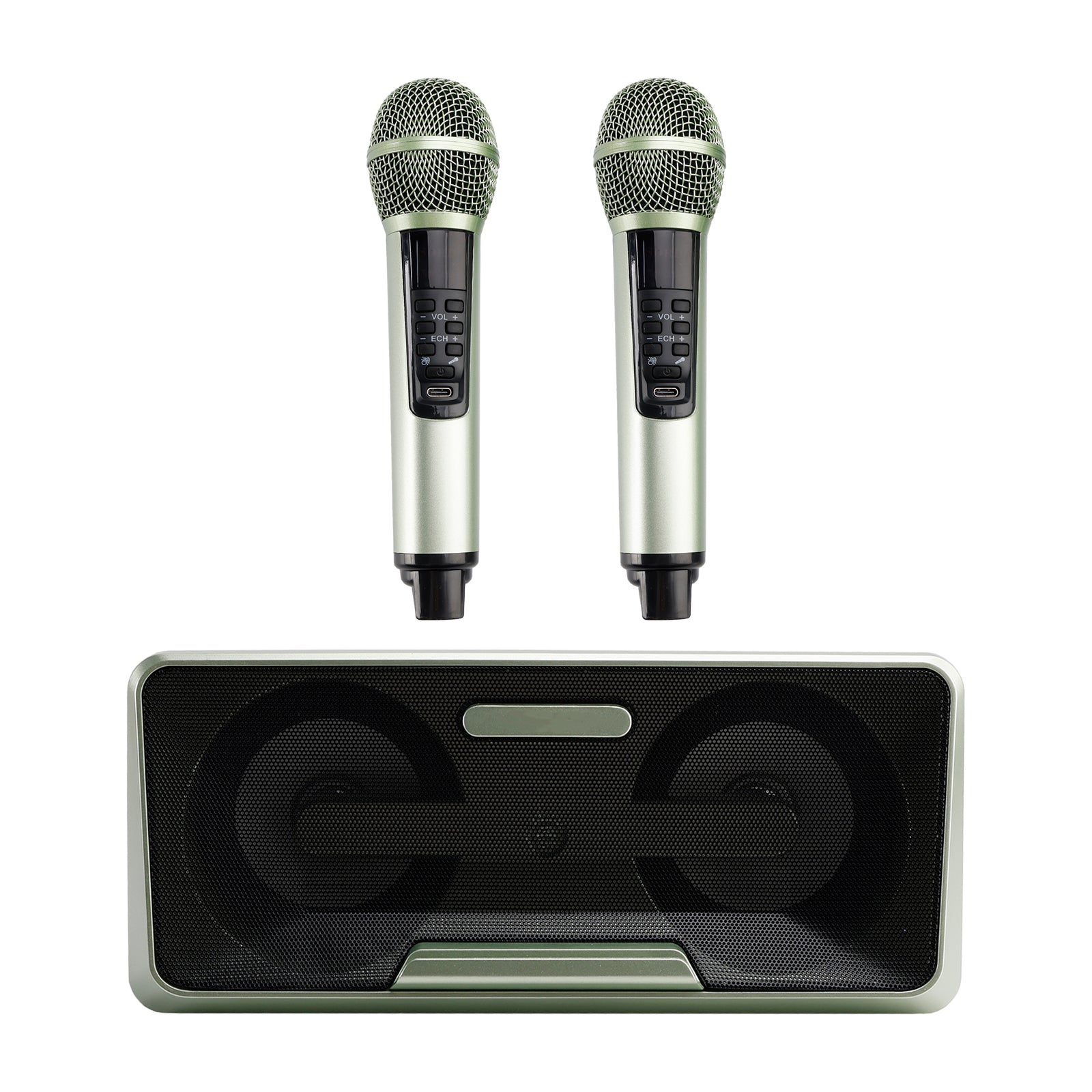 Portable Karaoke Machine with 2 Wireless Microphones, 20W Bluetooth Speaker System for Kids & Adults, Home Party (Green)