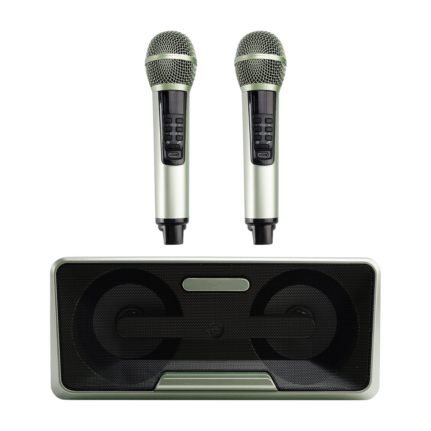 Portable Karaoke Machine with 2 Wireless Microphones, 20W Bluetooth Speaker System for Kids & Adults, Home Party (Green)