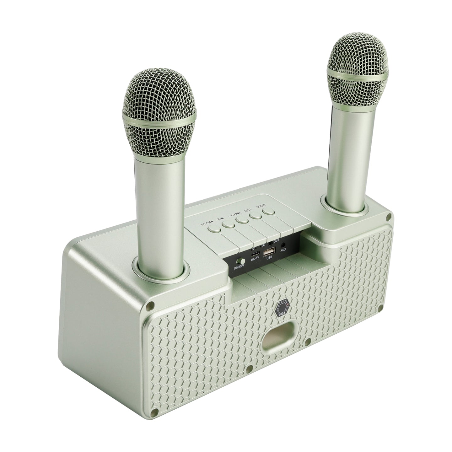 Portable Karaoke Machine with 2 Wireless Microphones, 20W Bluetooth Speaker System for Kids & Adults, Home Party (Green)