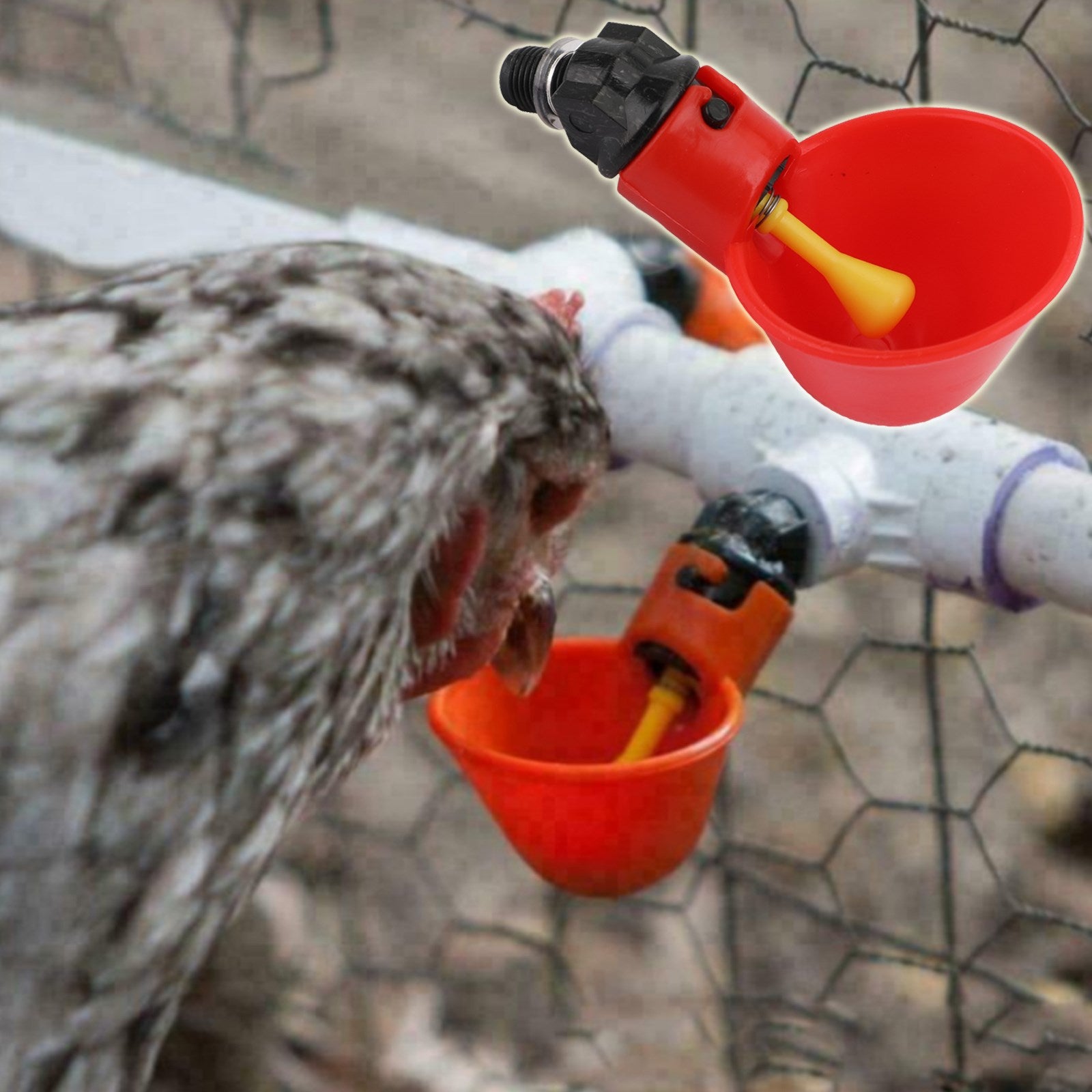20Pack Poultry Water Drinking Cups Chicken Hen Plastic Automatic Drinker Quail