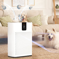 High CADR HEPA Air Purifier For Large Space For Pet Odor Large Room