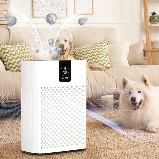 Air Purifier for Home Bedroom Large Room Up to 2400 Ft2