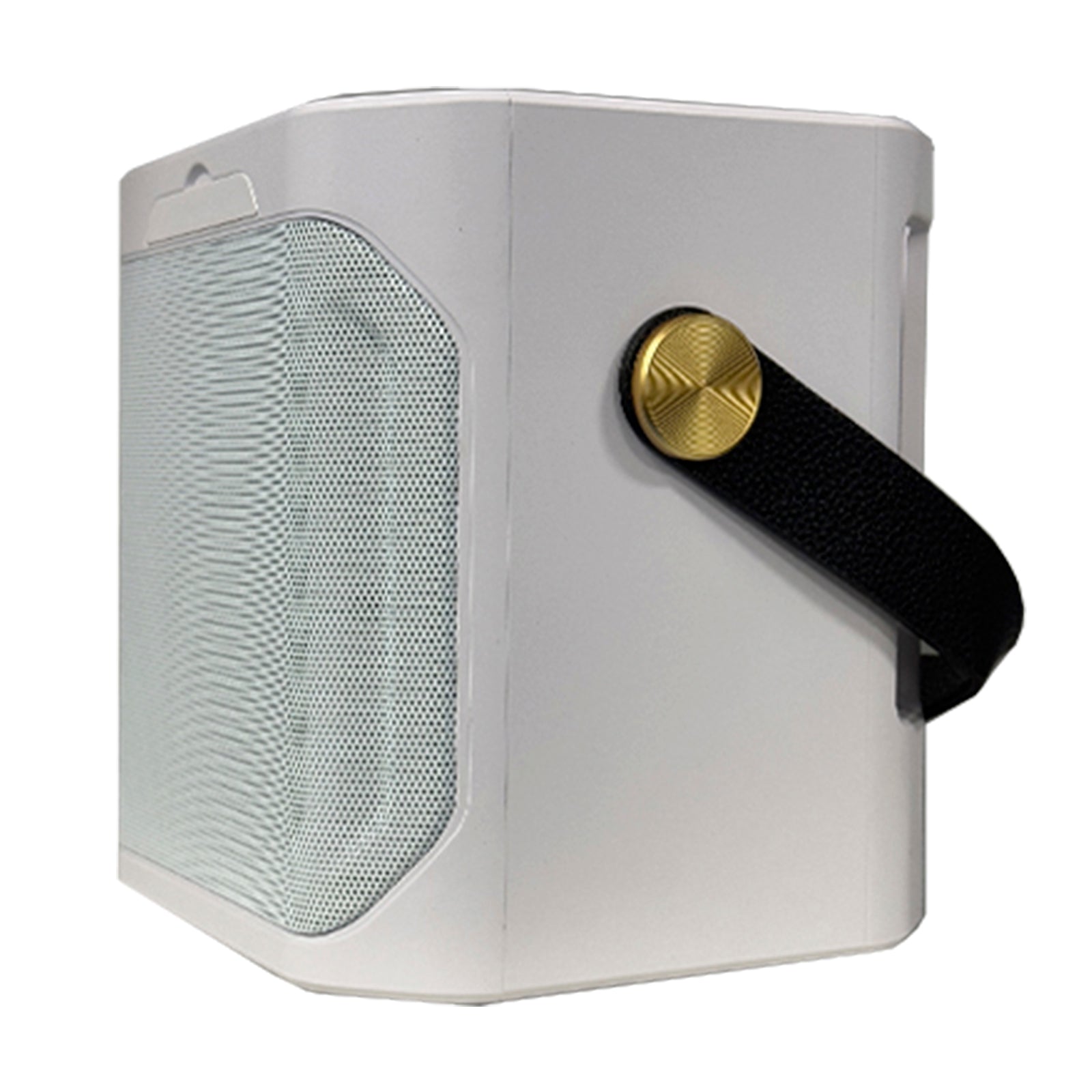 Wireless Bluetooth Speaker Dual Microphone Portable Karaoke Speaker Home Theater