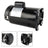 B2854 B2854V1 Pool Motor 1.5 HP Pool Pump Motor 115/230V Pool Motor