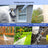 Cordless Pressure Washer for Car - Portable Electric Power Wash Gun
