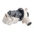 W11399437 W11259498 Washer Drain Pump for Whirl-pool Kenmore Crosley Washer