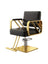Makeup Chair Barber Chair Beauty Salon Hair Styling Hairdressing Hairdresser