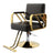 Makeup Chair Barber Chair Beauty Salon Hair Styling Hairdressing Hairdresser