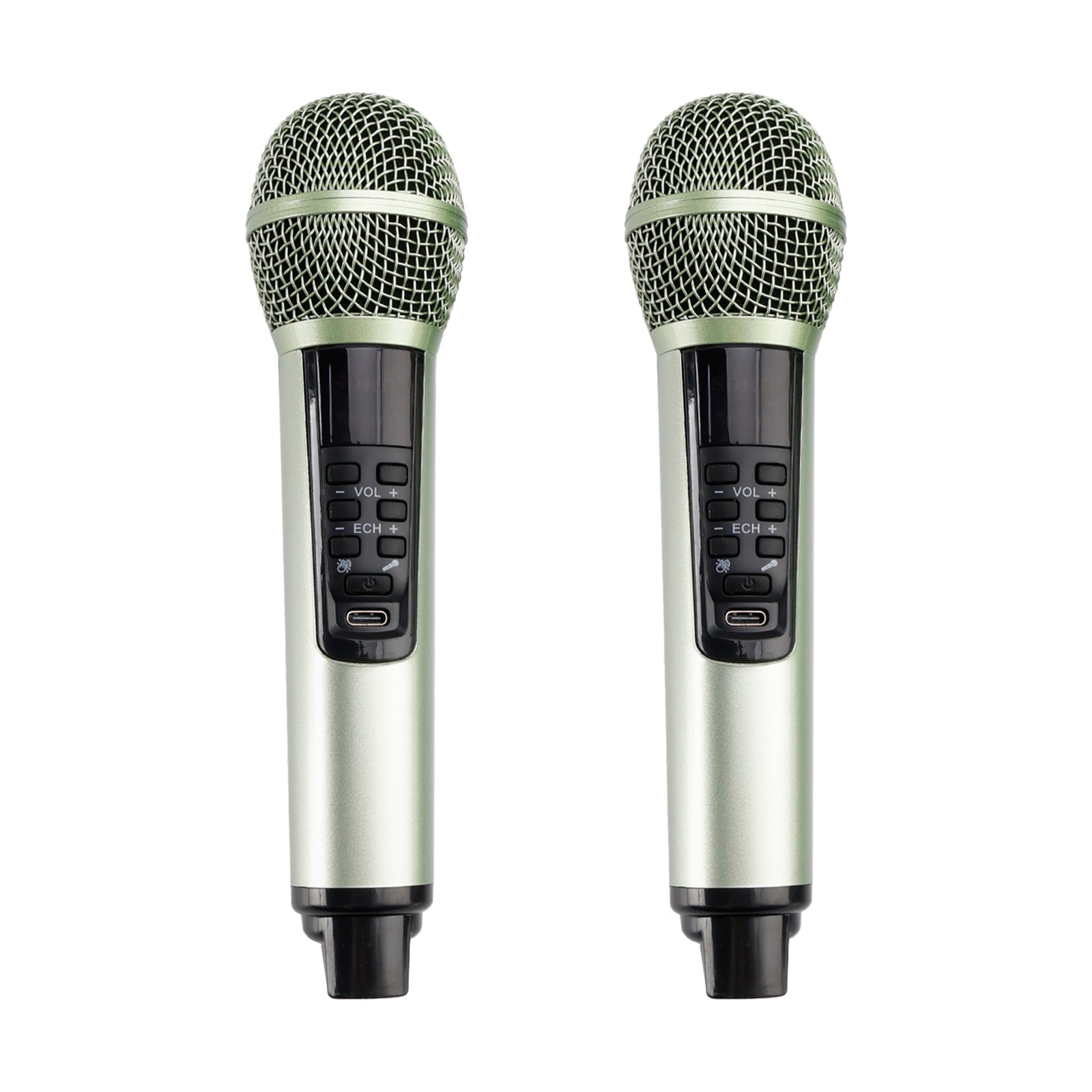 Portable Karaoke Machine with 2 Wireless Microphones, 20W Bluetooth Speaker System for Kids & Adults, Home Party (Green)