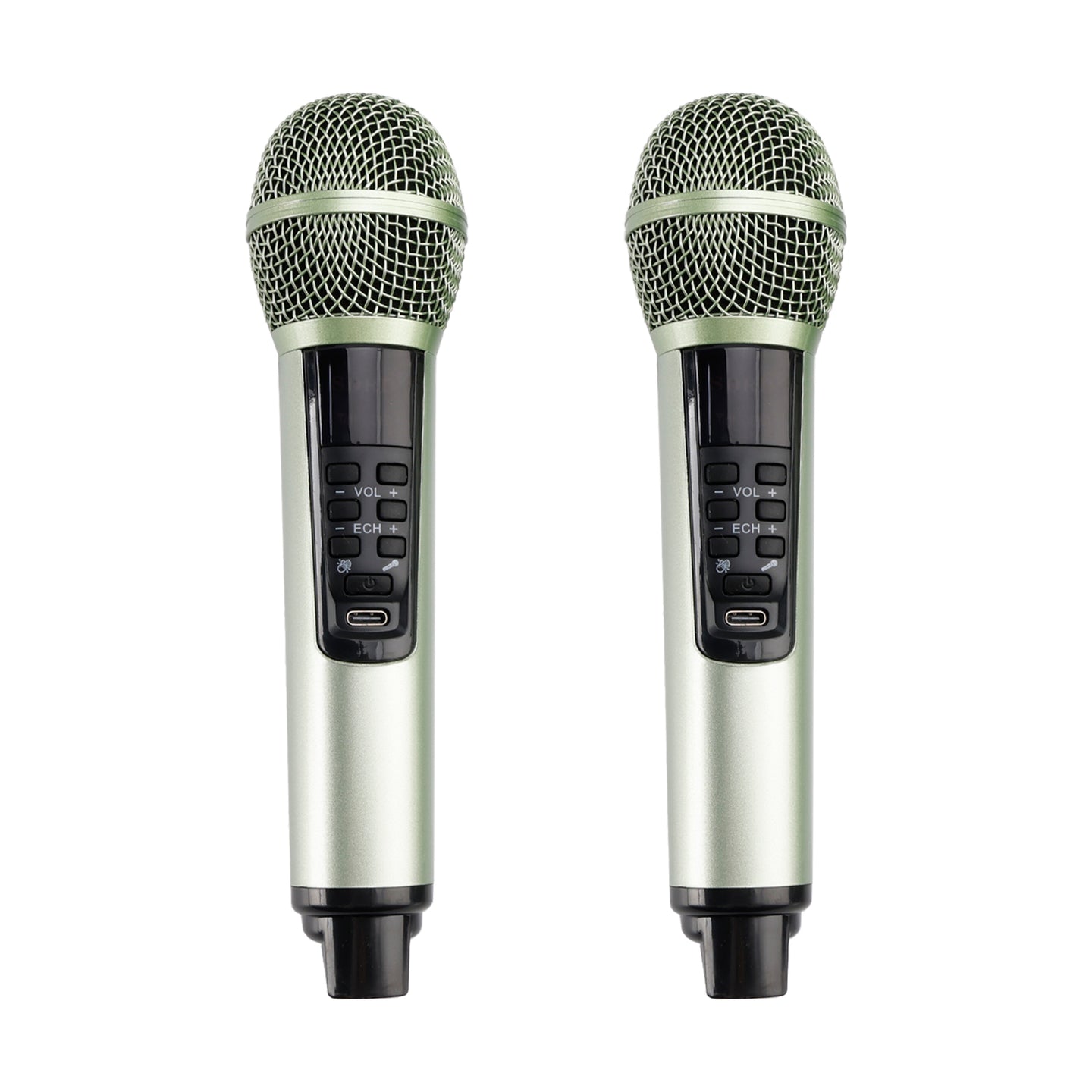 Portable Karaoke Machine with 2 Wireless Microphones, 20W Bluetooth Speaker System for Kids & Adults, Home Party (Green)