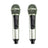 Portable Karaoke Machine with 2 Wireless Microphones, 20W Bluetooth Speaker System for Kids & Adults, Home Party (Green)