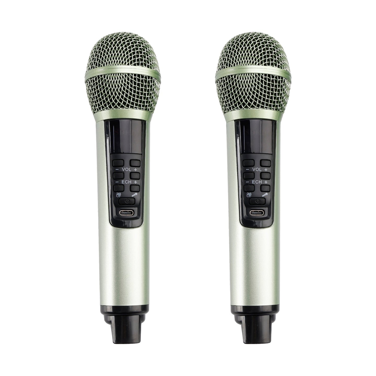 Wireless Bluetooth Speaker with Dual Microphones – Karaoke System for Home, Party & Outdoor Use
