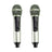 Wireless Bluetooth Speaker with Dual Microphones – Karaoke System for Home, Party & Outdoor Use