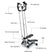 Fitness Workout Exercise Air Stair Stepper Machine Cardio Equipment + Handle Bar