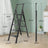 5-Step Folding Ladder, Aluminum with Anti-Slip Pedal - Heavy Duty & Stable Step Stool