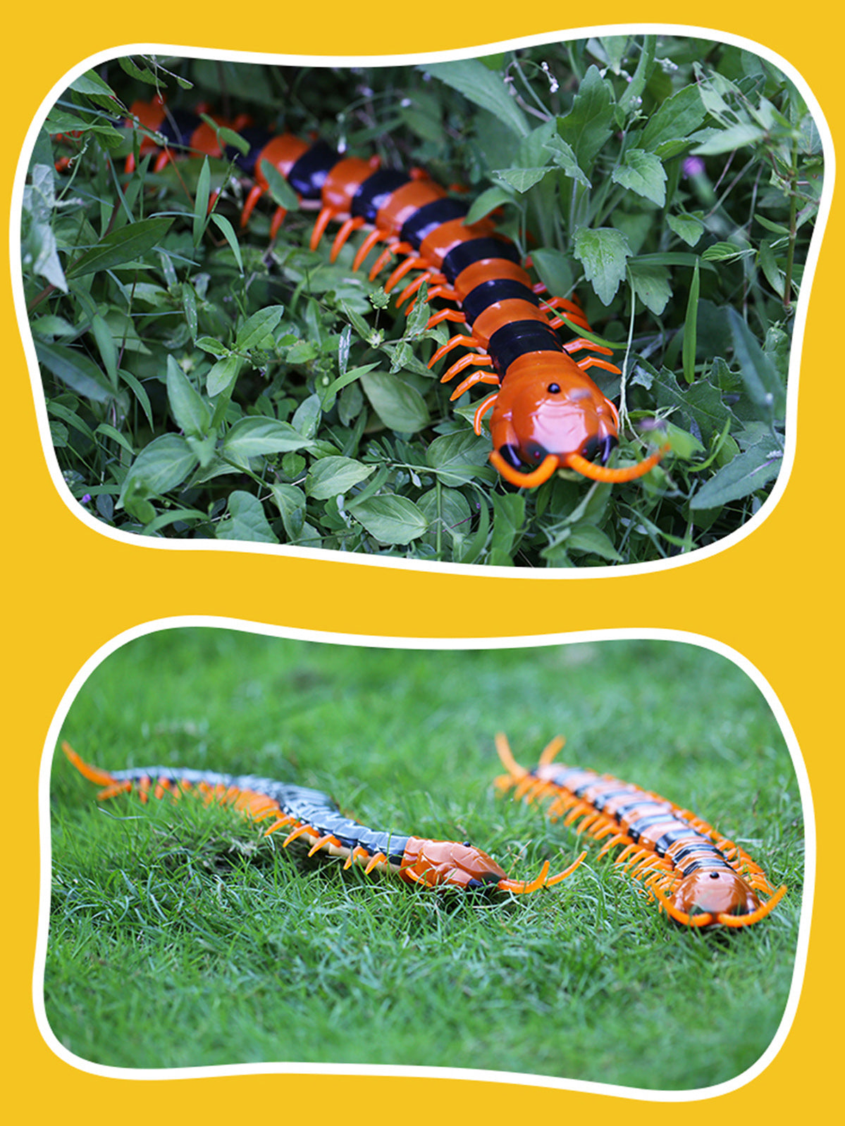Remote Control Centipede Infrared Animal Electric Toy Kid Christmas Gift BLK US