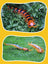 Remote Control Centipede Infrared Animal Electric Toy Kid Christmas Gift Black