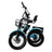 18*3.0 48V 13AH 350W (peak 525W) Electric Tricycle E-Trike with IPX7 Display