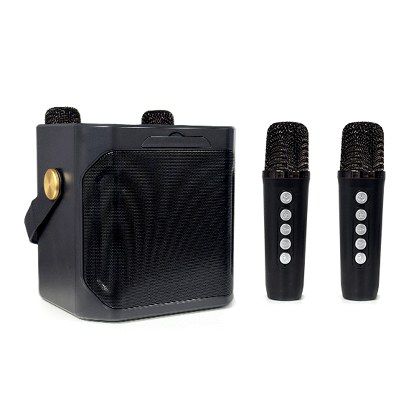 Wireless Bluetooth Speaker Dual Microphone Portable Karaoke Speaker Home Theater