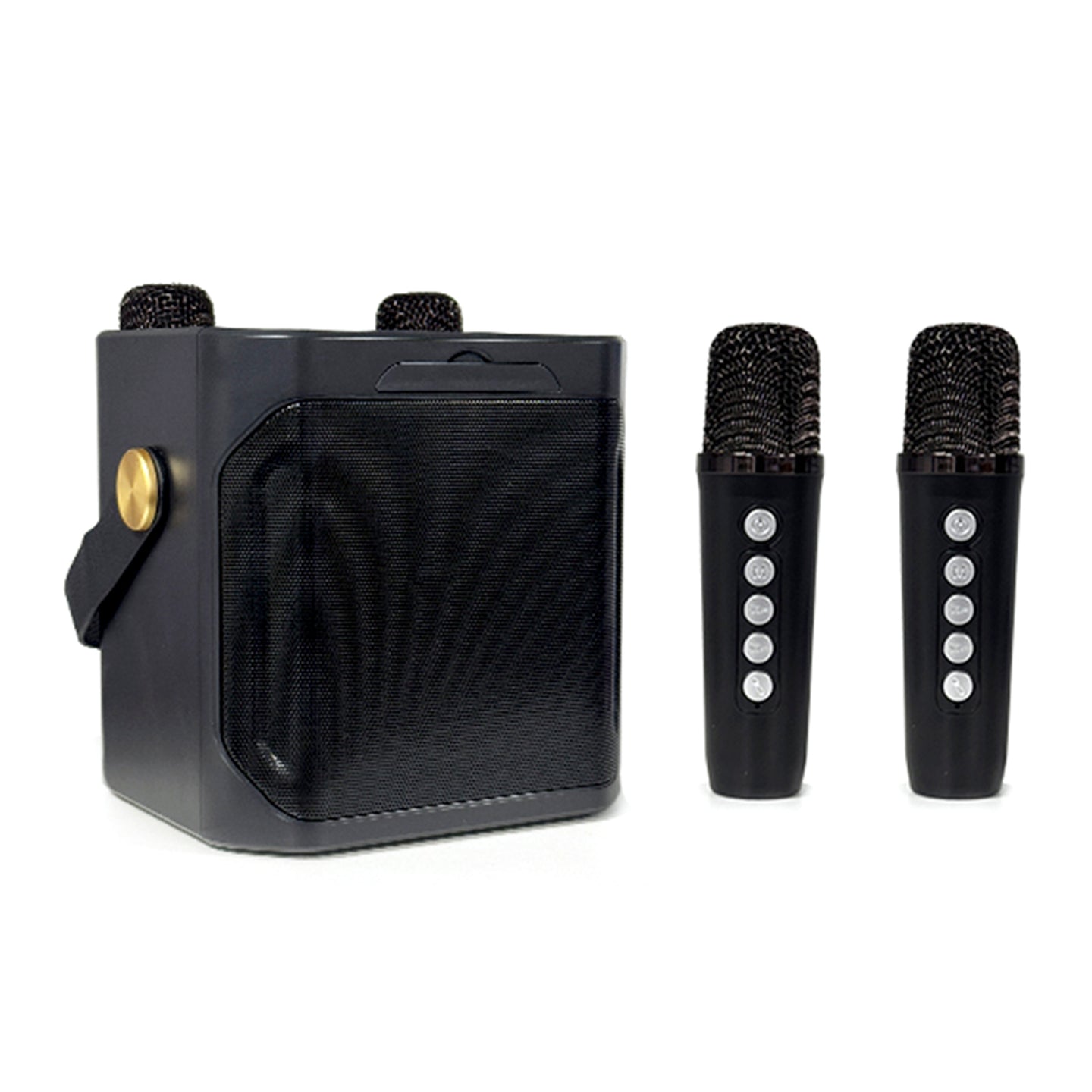 Wireless Bluetooth Speaker Dual Microphone Portable Karaoke Speaker Home Theater
