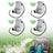 Small Hydroelectric Generator DC18V/36V 36W/50W High Efficiency Brushless Motor
