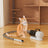 1.5L Grooming Tools for Dogs Cats Pets 5 In 1 Pet Grooming Kit Vacuum Suction Professional Pet Hair Clipper Dog Vacuum Brush for Shedding Grooming