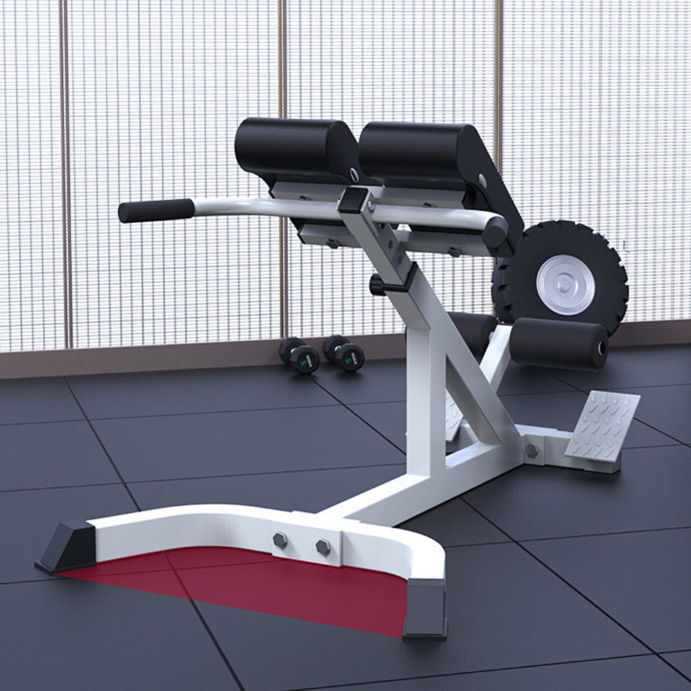 Adjustable Roman Chair – Back Extension & Core Exercise Bench for Home Gym
